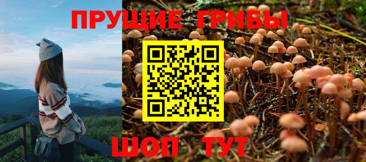 Псилоцибиновые грибы мухоморы Тула