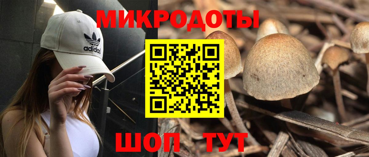 Псилоцибиновые грибы прущие грибы  где купить наркотик  Тула  Вход с VPN 